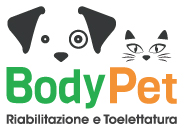 Body Pet